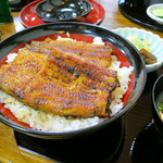 Hamamatsu - うなぎ丼「特上」