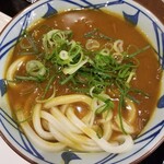Marugame Seimen - カレーうどんのアップ。
