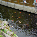 天水舎 - 