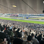 鳥千 - ジャパンカップ直前。