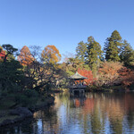 一福 - 成田山紅葉