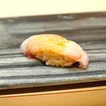 八重洲 鮨 海味 - ハタ