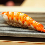 八重洲 鮨 海味 - 車エビ