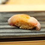 八重洲 鮨 海味 - ハタ