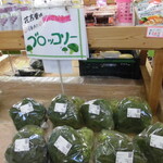 農産物直売所 こだま館 - 店内