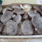 農産物直売所 こだま館 - 店内