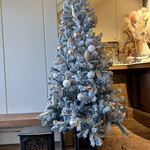 リオン菓子店 - 