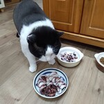 本庄鮮魚センター - 食べてみた