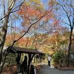 森の味処 なかむら  - 