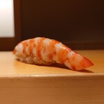 鮨 はしもと - 車海老