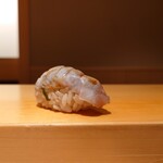 鮨 はしもと - 鰯