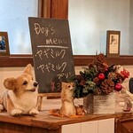 ドックカフェ 風音 - 