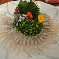 魚料理専門 魚魚一 - うなぎの刺身
