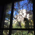 花椒 SUGAR & SPICE - 窓の外