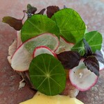 プレヴナンス - 