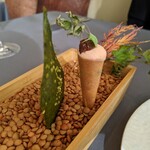 プレヴナンス - 