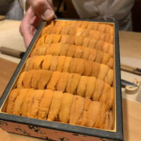 恵比寿 鮨 ふじまさ - 