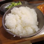 炭火焼肉 やまもと - ご飯　小