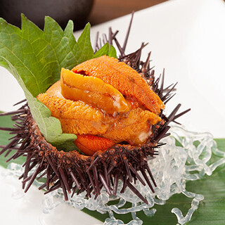 Enjoy the specially selected sea urchin supervised by a sea urchin specialty store