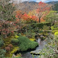 芹生 - 