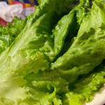 岡崎牧場焼肉店 - レタス