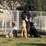 ホテル小野浦 - 