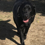 ホテル小野浦 - 