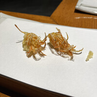 点邑 - 