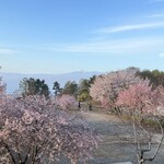 Jose Luis Karuizawa - 