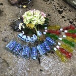 山菜料理 みたき園 - 