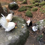 山菜料理 みたき園 - 