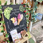 젤라테리아 후룻티