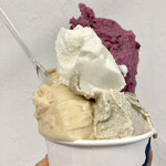 젤라테리아 후룻티