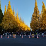 モノリス - 神宮外苑は見頃でした