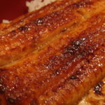 うなぎ屋 廣川 - うな重　アップ