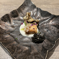 TOSAGE - 
