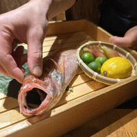 のどぐろ専門 銀座 中俣 - 