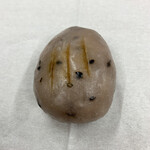 和菓子処 大角玉屋 - 亥の子餅 