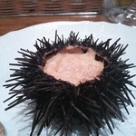 f - ウニのなんだが。