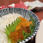 酒肴場 屯 - この塩うにだけでご飯一杯いけちゃうw