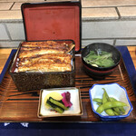 Ikiunagi - 