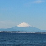 魚屋の磯料理 まるとし - 綺麗に見えました！