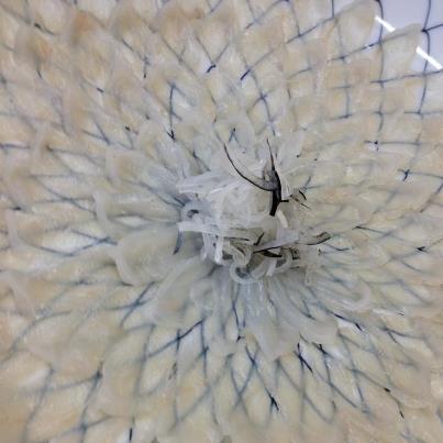 升冨 しのぶ野 - 美術館図書館前（日本料理）の写真