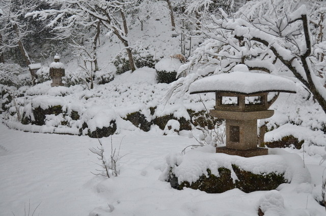 升冨 しのぶ野 - 美術館図書館前（日本料理）の写真