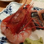 鮨なかもと - 鮮やかな赤いベニエビ