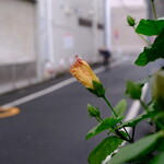 北京飯店 - 明治通りよりこっち(東)はのどかです