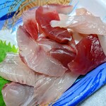 サンバード コトブキ - 