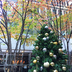 CIRCULO - ツリーと紅葉(店の前）