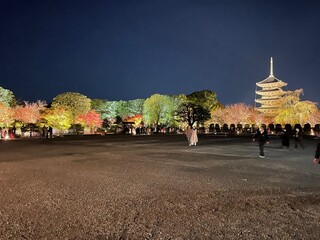 Tonkatsu Yamamoto - 東寺 ライトアップ