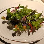 レフェルヴェソンス - 